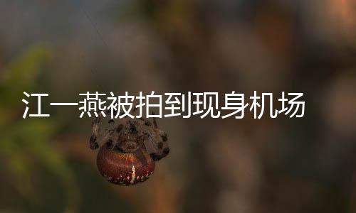拍到江一机场边还现身个一燕被有一婴儿引热议 身岁多
